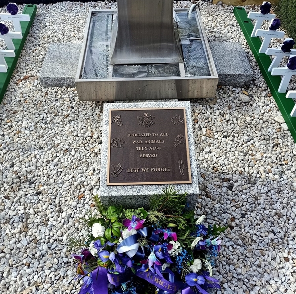 Remembering those animals who served